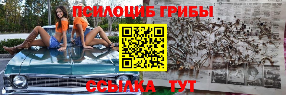 Псилоцибиновые грибы мицелий Видное