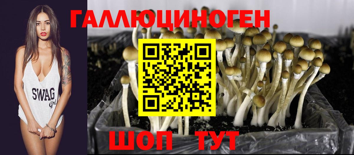 Видное  как найти закладки  Вход с VPN  Галлюциногенные грибы Magic Shrooms 